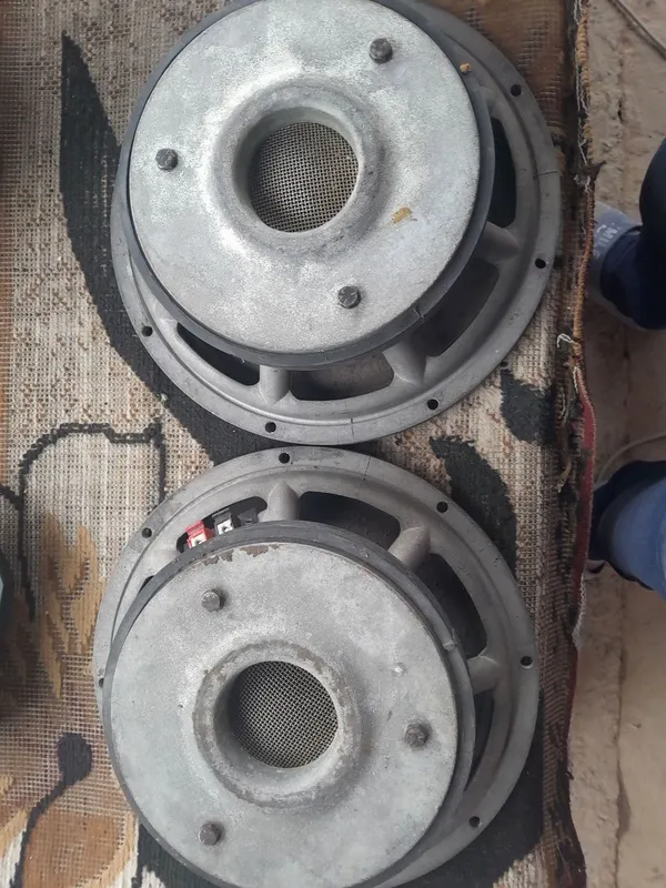 Peavey oʻn ikki dyum original