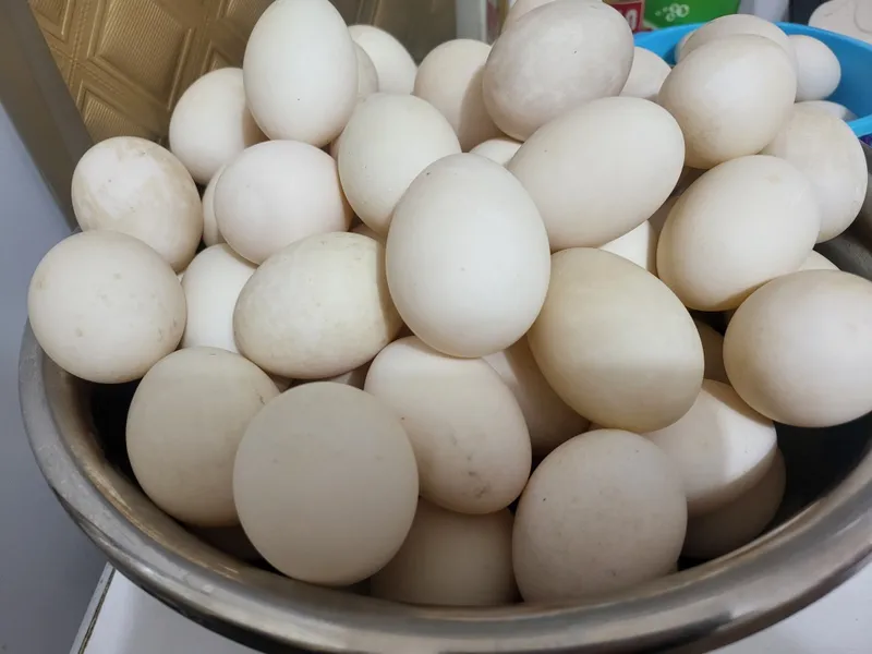 Урдак тухуми яйца утиные duck eggs 鲜鸭蛋