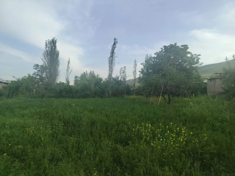 Dam olish maskani, Dacha va yashash uchun tabiat qo'ynidagi uchastka — фото 7
