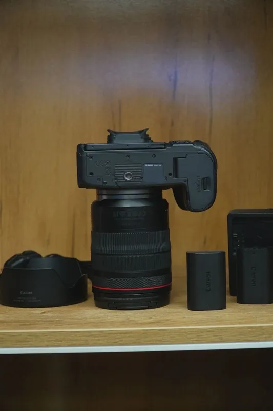 Canon EOS R6 Mark II + Canon RF 24-105mm f/4L USM — фото 1