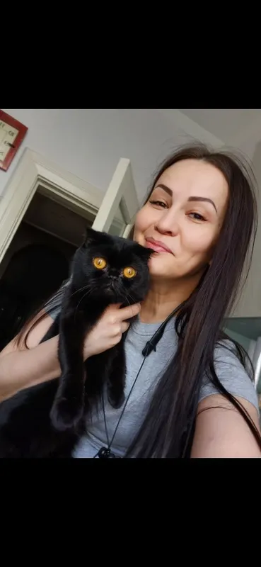 Отдам в хорошие добрые руки кошечку по имени лапка. 2
