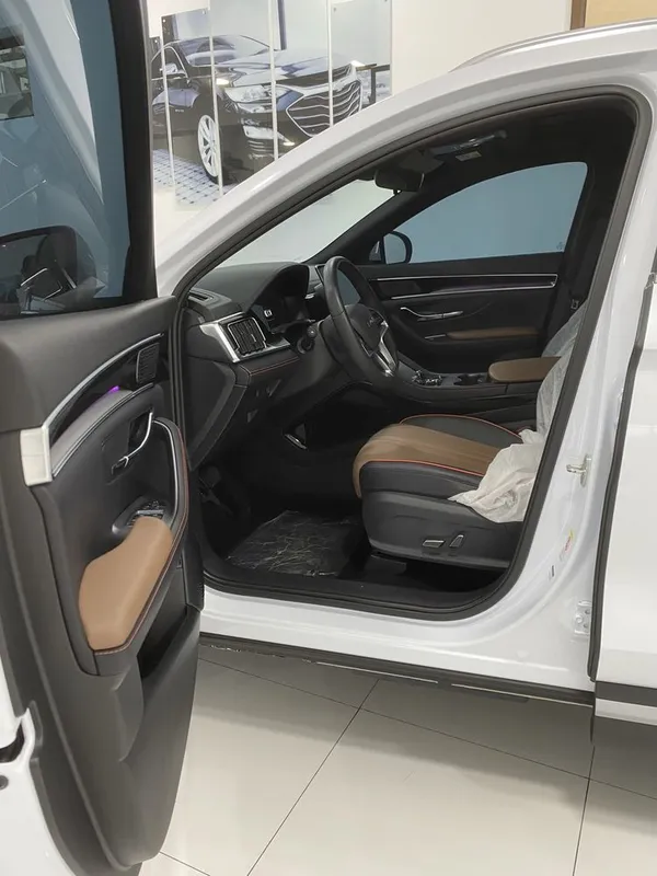 BYD Song plus Champion Dm-i — фото 1