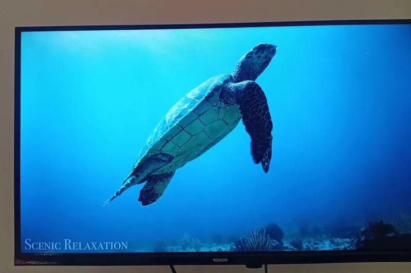 Телевизор Roison Smart TV 32' — фото 4