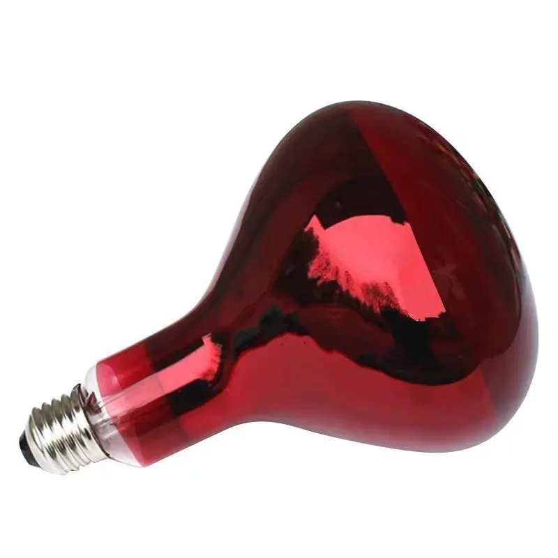 Lampa jojalar uchun