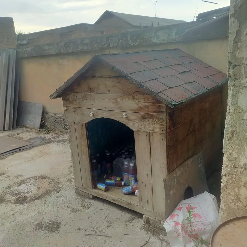 It ini bor mustahkam ishlangan 1 It ini bor mustahkam ishlangan 1
