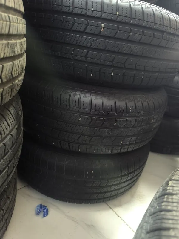 185,65,14 zerex 14 spartivniy saka db 3