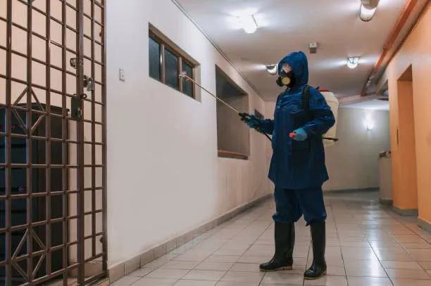 Dezinfeksiya Дезинфекция klop tarakan burga ilon клоп таракан запахи