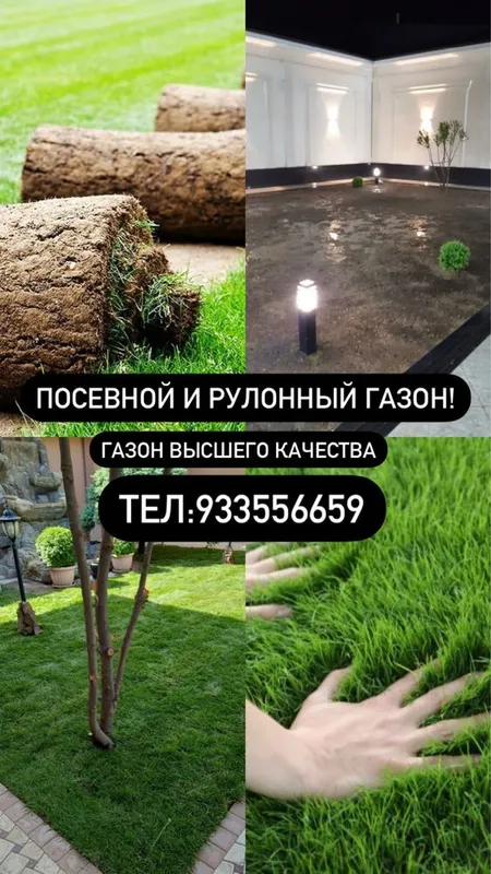 Газон с гарантией