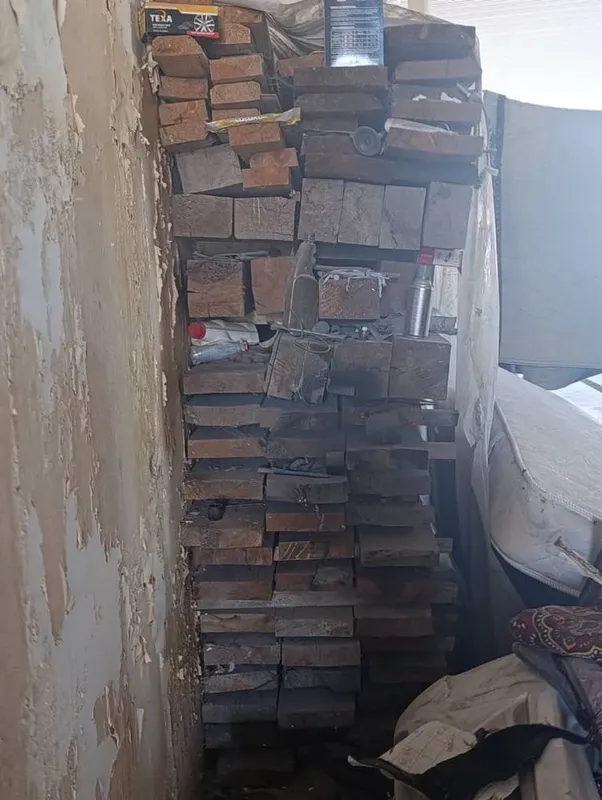 Бревно доски сосна — фото 1