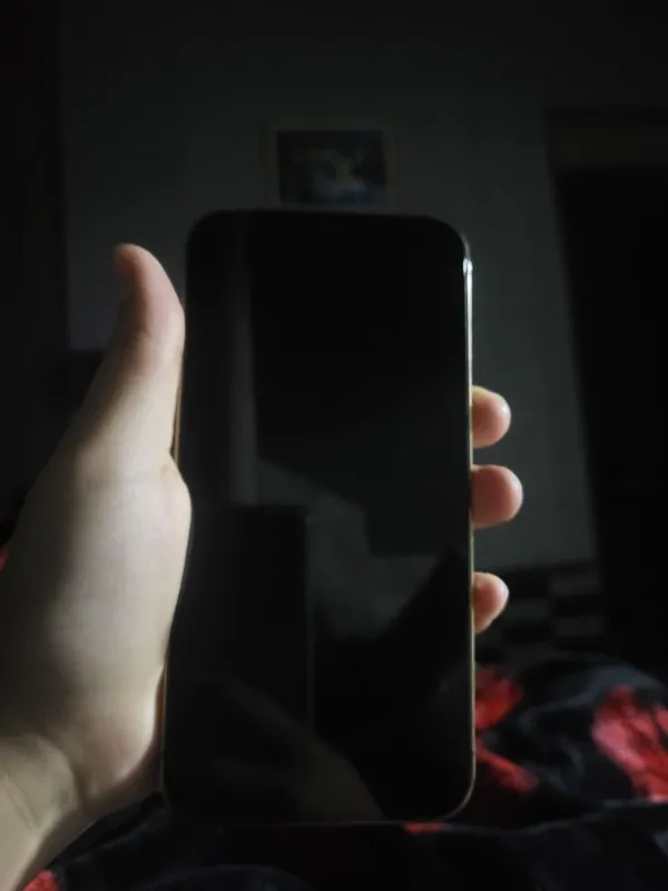 iPhone 12 Pro 3