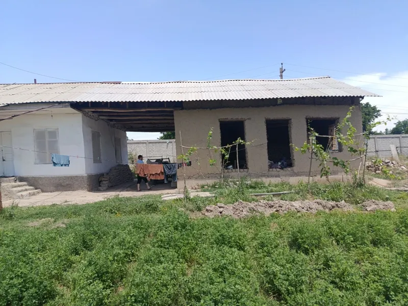 Toshkent dengizi atrofidan 30 soʻtxli kadastr xujatlariga ega xovli — фото 1