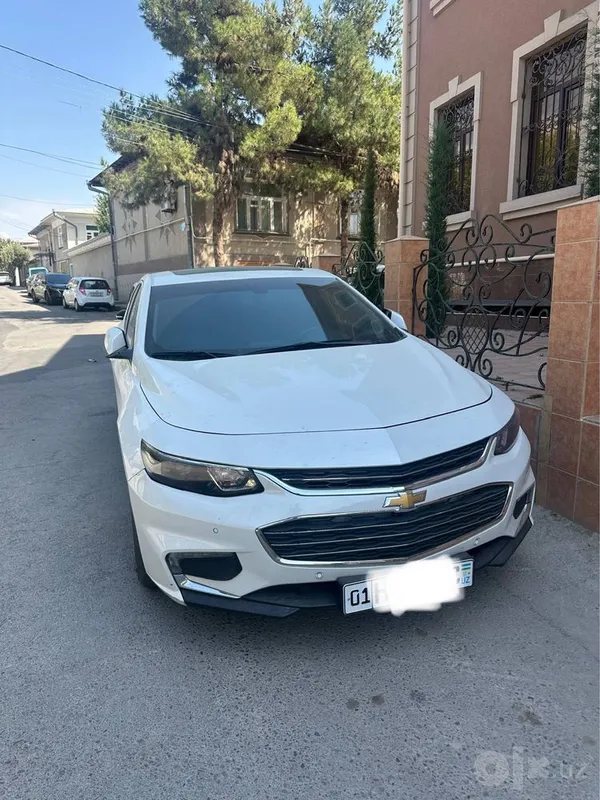 Malibu 2 2.4 Mator белый жемчуг 1 Malibu 2 2.4 Mator белый жемчуг 1