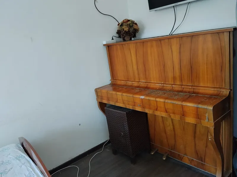 Беларусь, пианино 1
