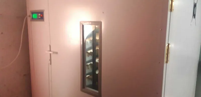 5 000 talik inkubatr sotiladi 1 5 000 talik inkubatr sotiladi 1