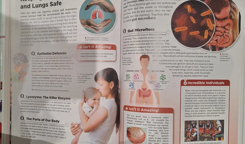Knowledge Encyclopedia " HUMAN BODY" — фото 8