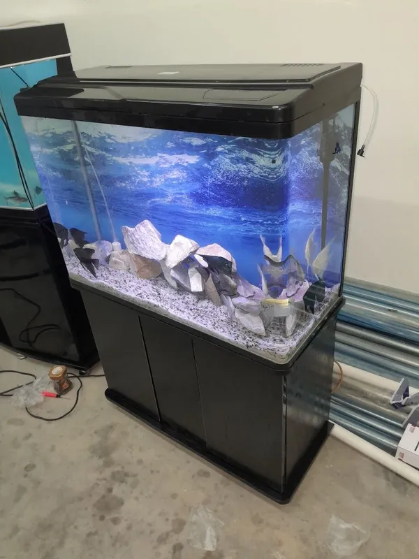 Akvarium 250 litr 6 oyna Qôship beraman dõmik Tosh filter chipiyõn s — фото 4
