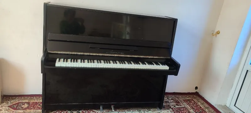 Pionina sotiladi xolati alo 2