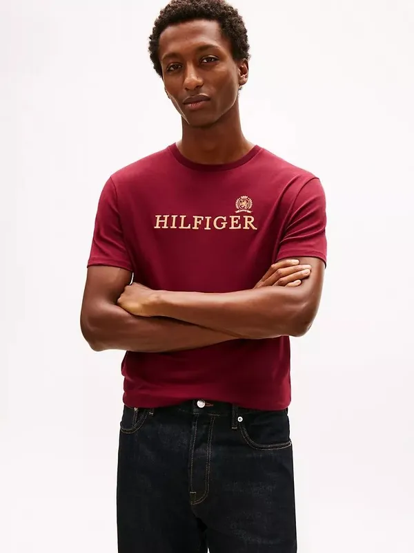 Tommy Hilfiger футболки
