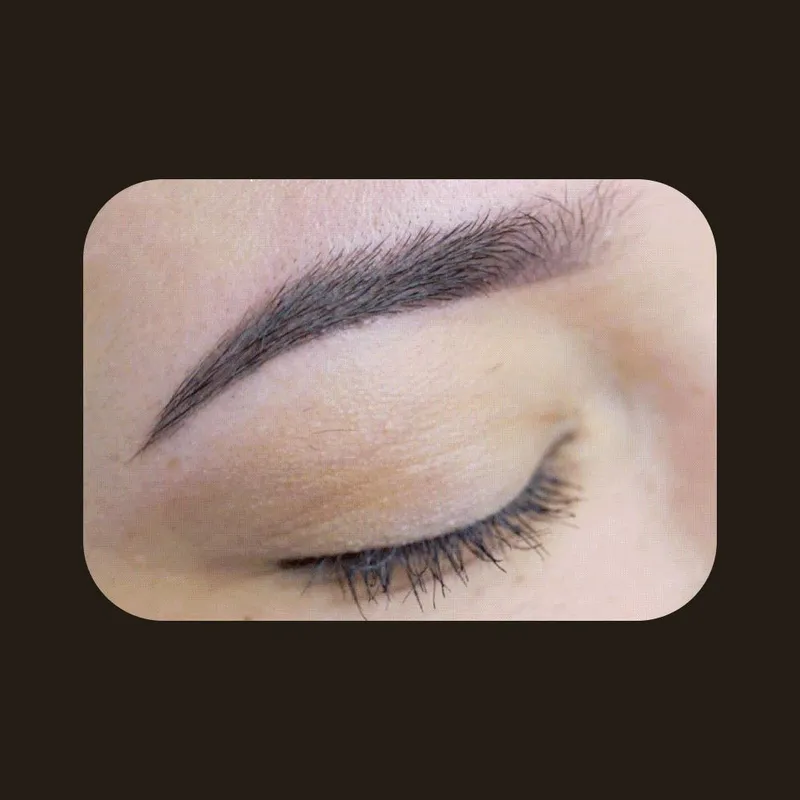 Perma Blend Darkest Brown Пермабленд пигмент для бровей и глаз, 15 мл 3
