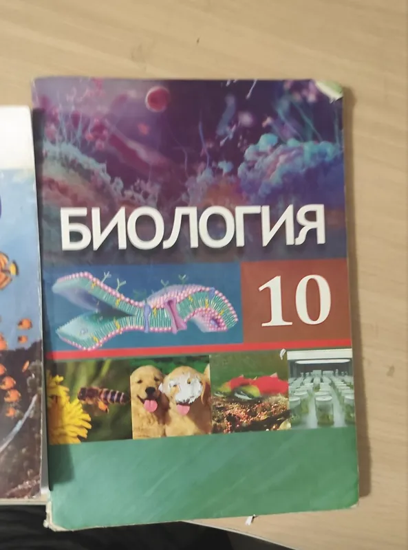 Биология книга 10 класс копия 6 Биология книга 10 класс копия 6