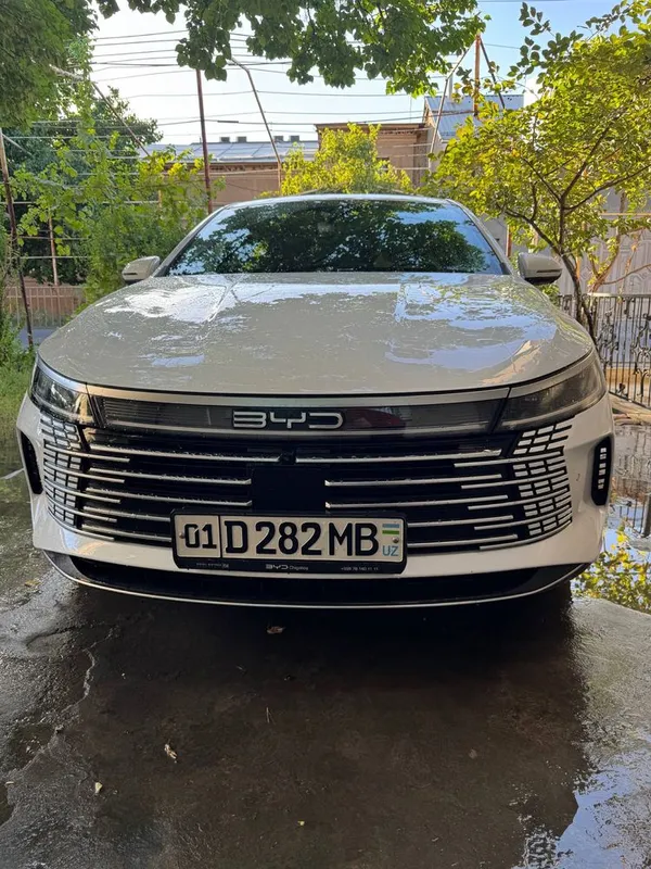 Byd Chazor full 2023