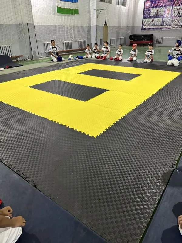 Tatami MAT ORIGINAL XITOY, Эва мат ласточкин хвост, татами пазл спорт