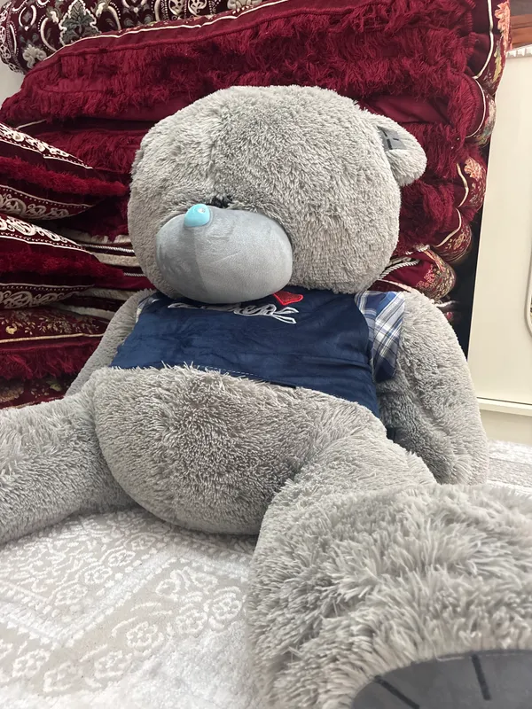 teddy ayiq 3 teddy ayiq 3
