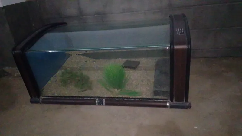 Akvarium sotiladi 1 Akvarium sotiladi 1