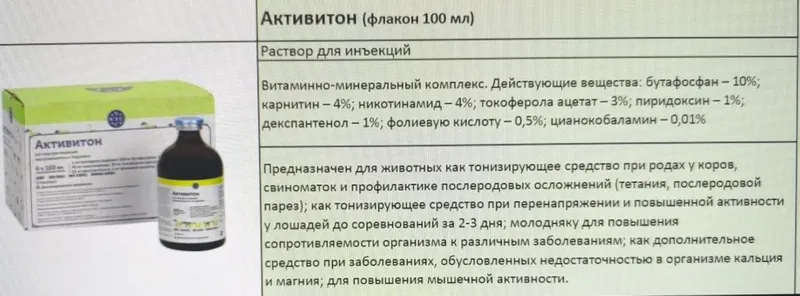 Витаминный коктейль для вашего питомца. — фото 1