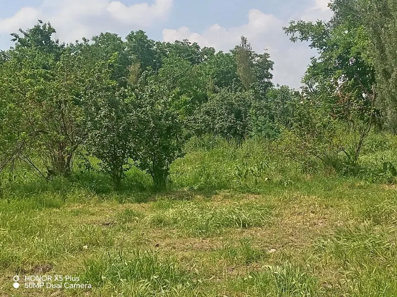 Уй сотилади участка — фото 4