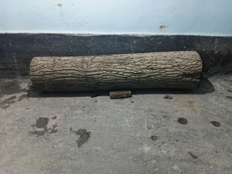 nasiba