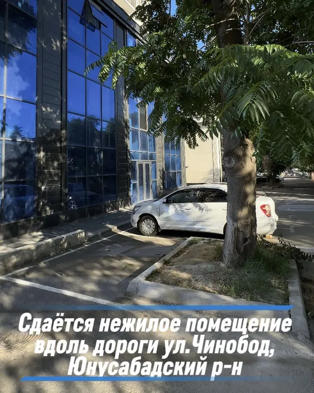 Сдаётся нежилое помещение 358 кв.м ор-р: ул: Чинобод Юнусабадский р-н 1