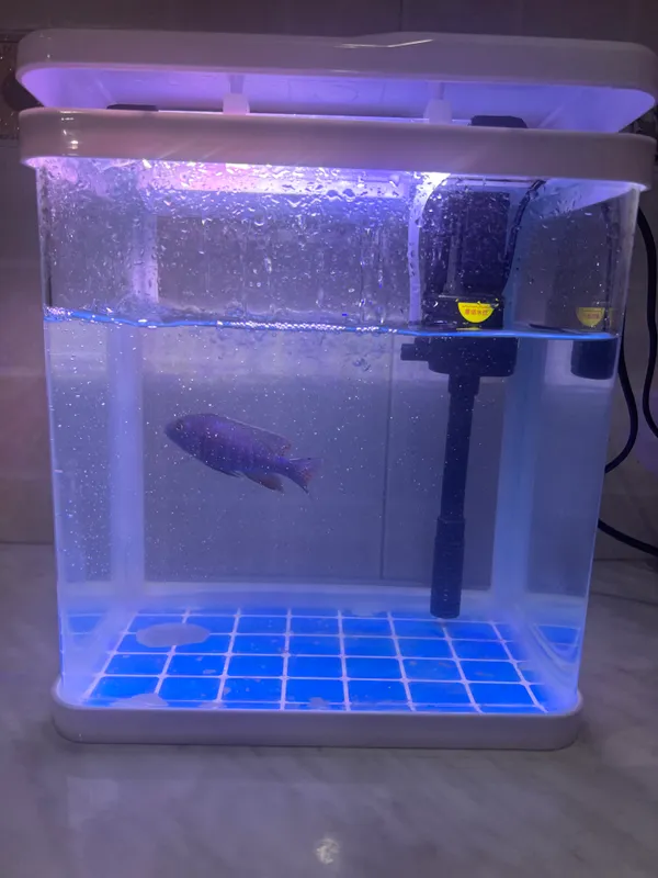 Akvarium + sotiladi filter 1
