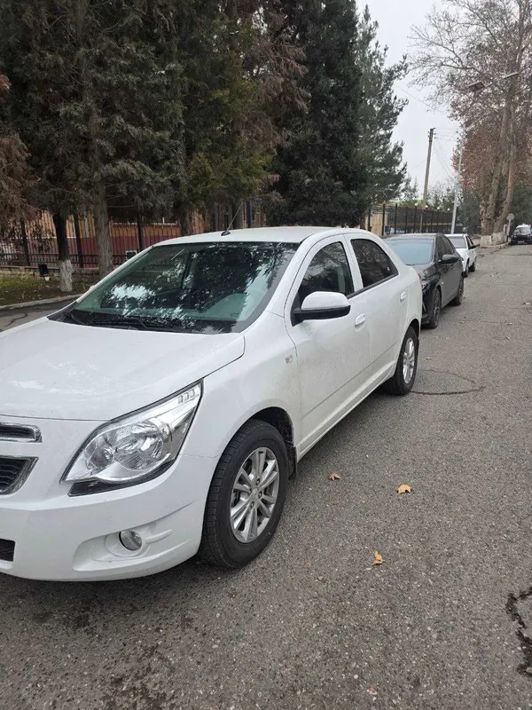 Renta car. Аренда 5 Renta car. Аренда 5