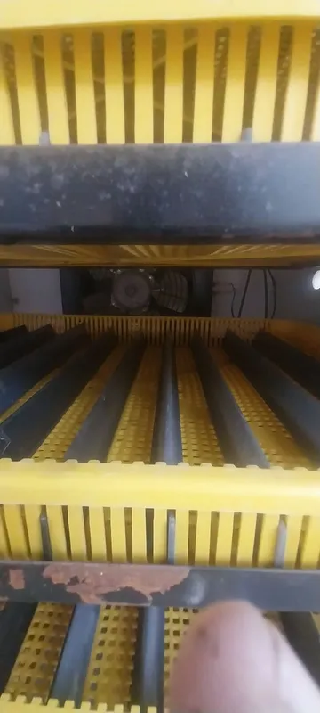 Inkubator. 500 talik 4 Inkubator. 500 talik 4