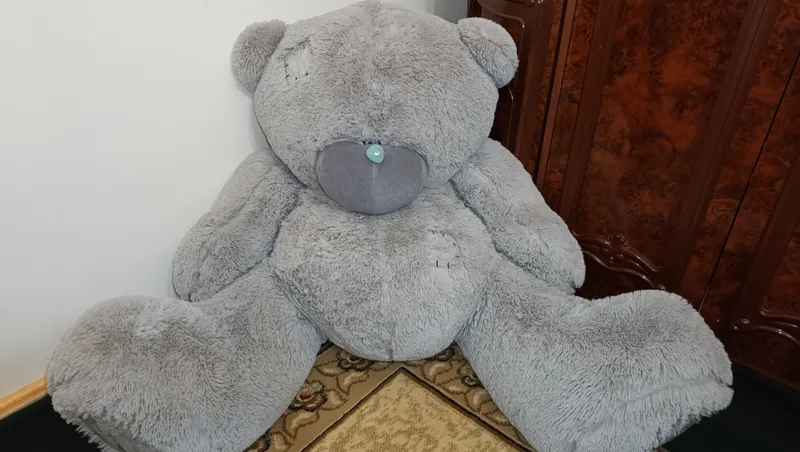 Teddy 1