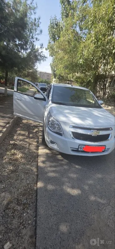 Cobalt 23 Yil oq Rangi Kraska toza 1 Cobalt 23 Yil oq Rangi Kraska toza 1