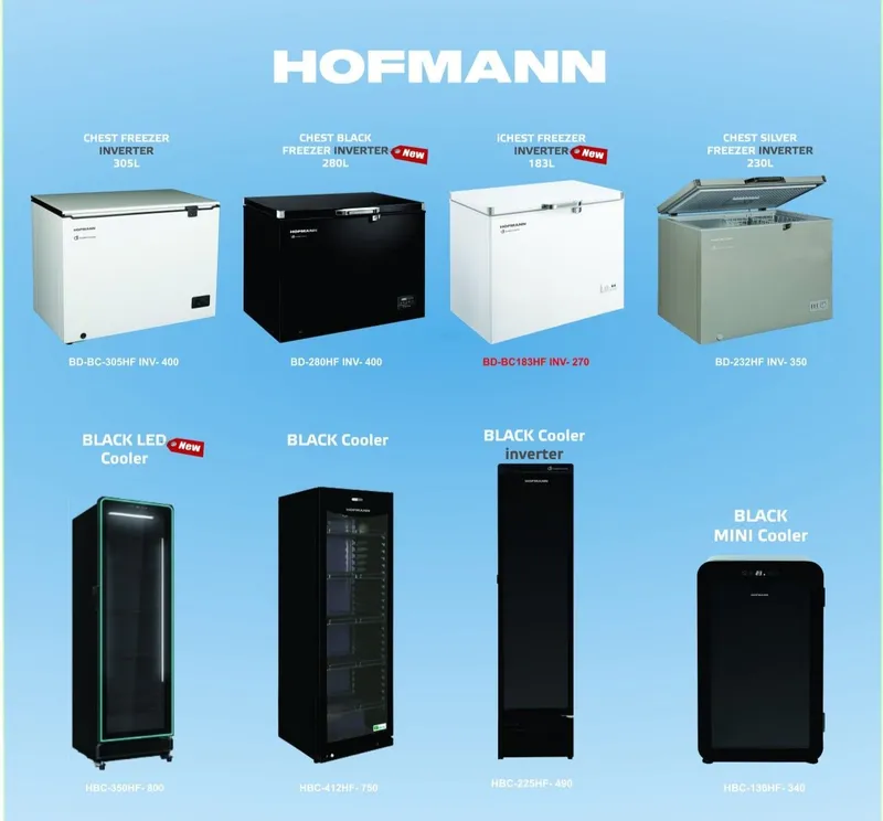 Морозильная камера Ларь Hofmann BD-232HF Inv-230 л 1