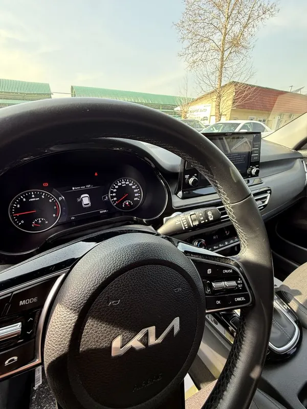 Kia Seltos 2021/22 Top Toza Style — фото 4