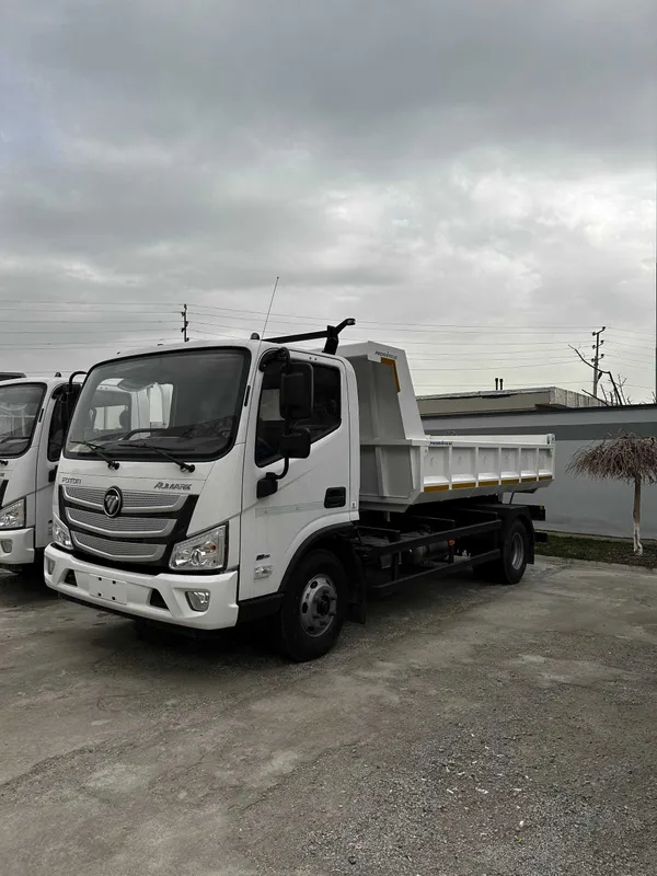 FOTON Aumark S Samosval
