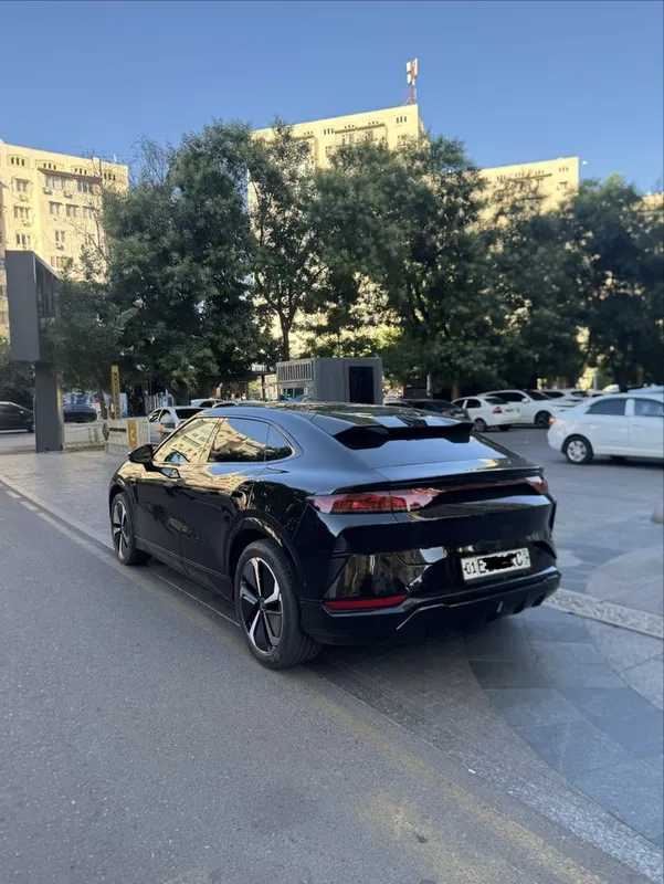 Byd song L 2024 yil 5 Byd song L 2024 yil 5