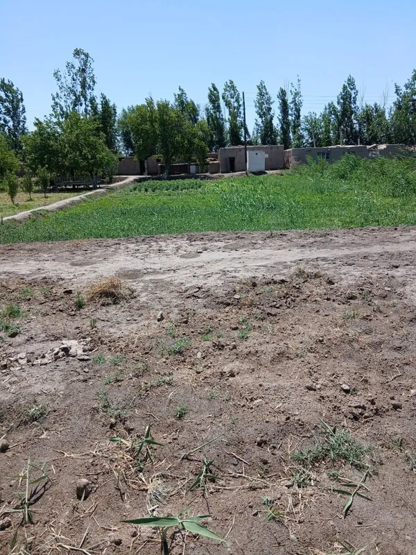 Беговотда Жой урни сотилади — фото 4