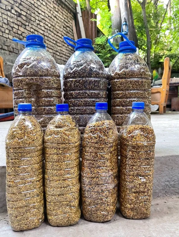 Продам цветочную пыльцу Продам цветочную пыльцу
