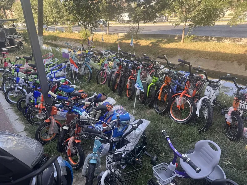 Bolalar va kattalar velosipedlari 6 Bolalar va kattalar velosipedlari 6