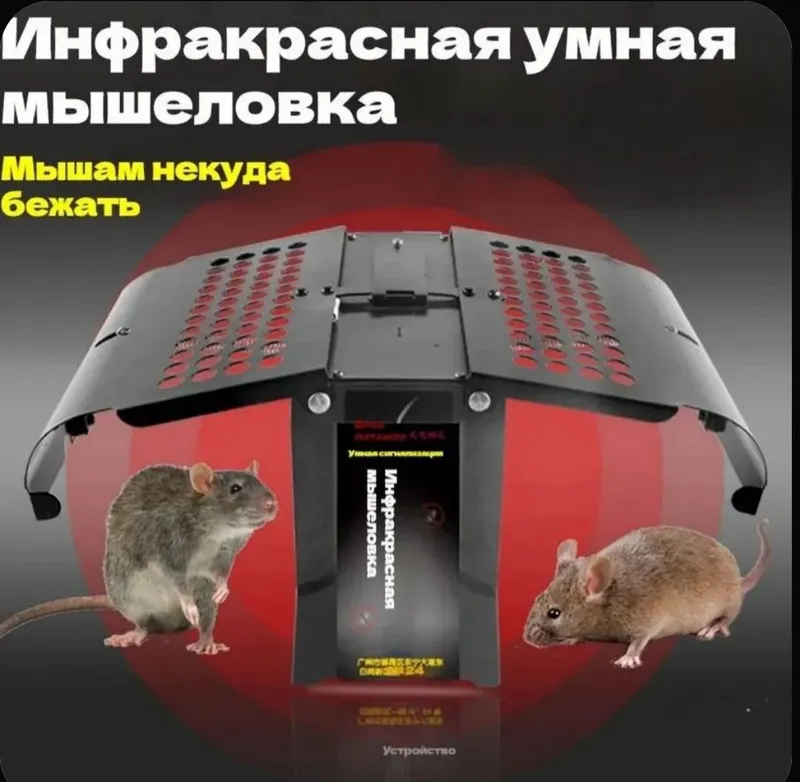 Эта инфракрасная интеллектуальная мышеловка