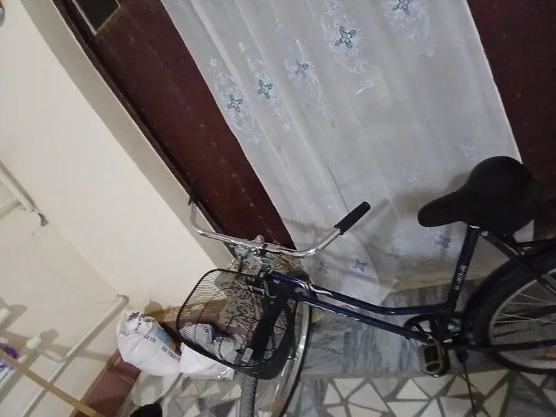 Velosiped "Bonvi" 2