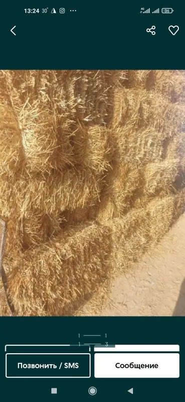 Somon mayda gul suvoqqa Lombozga Va Molga (Hasanboy)Beda