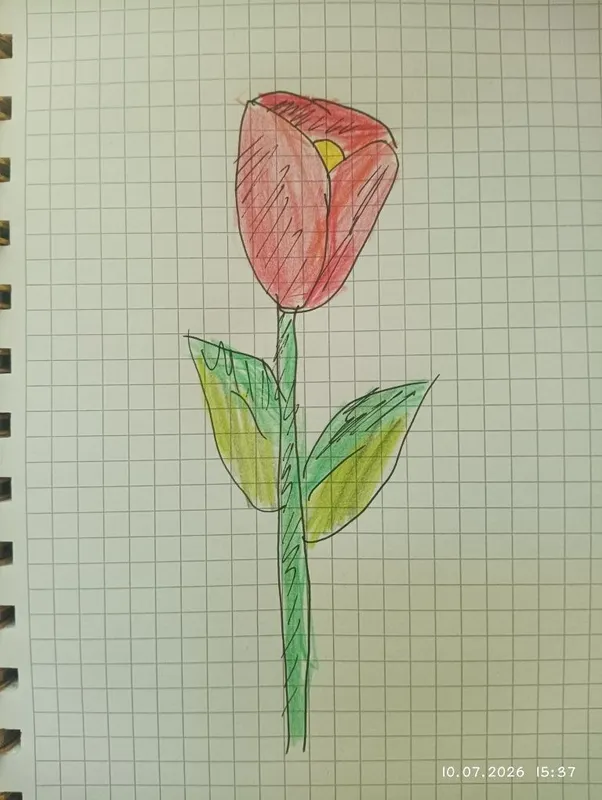 Рисую цветы/растения 3