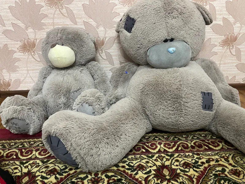 Ona bola ayiq top toza alo daraja yangi 2