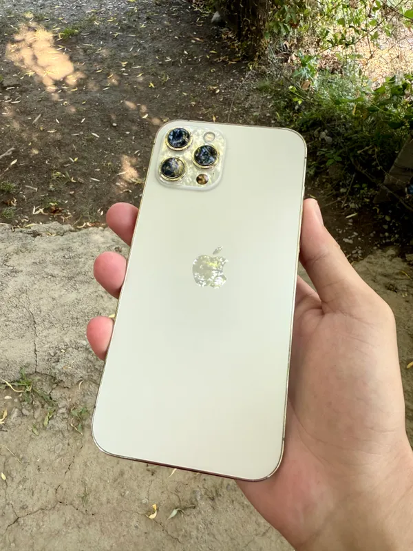 Iphone 12 pro max 256gb ideal 1